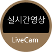 실시간영상 LiveCam